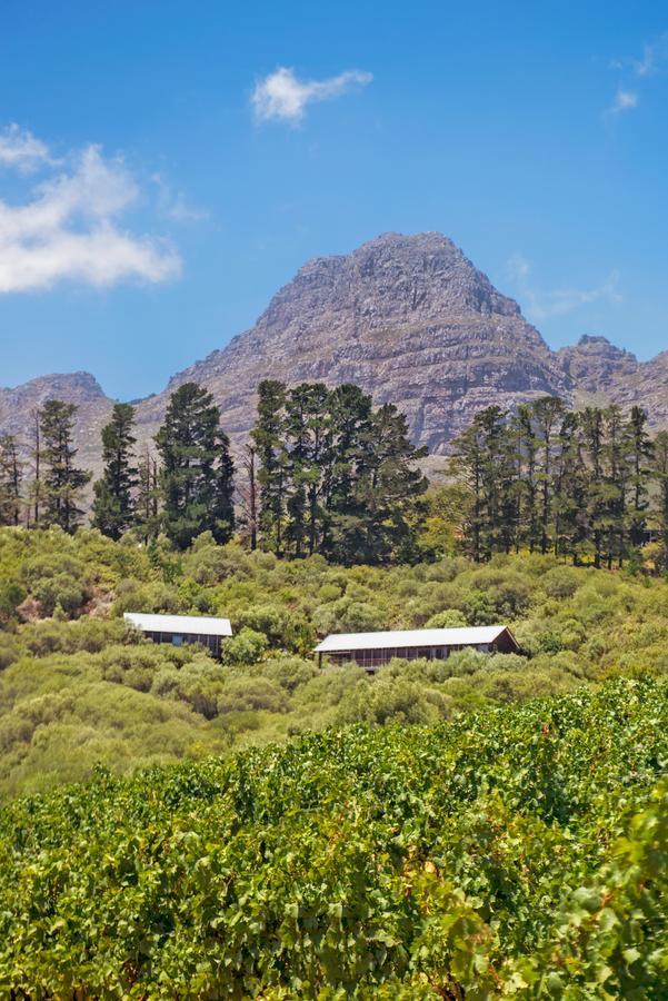Bush Lodge At Hidden Valley Wines 斯泰伦博斯 外观 照片