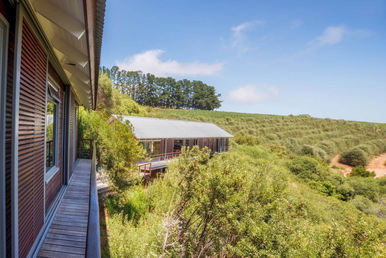 Bush Lodge At Hidden Valley Wines 斯泰伦博斯 外观 照片